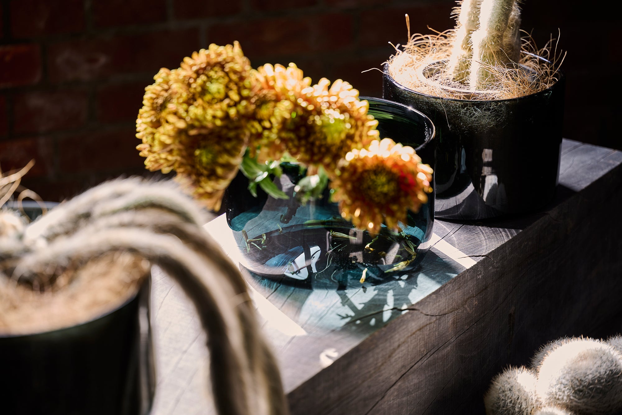 re/f - NEW LIGHT POTTERY
